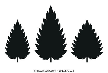 Three silhouettes of a nettle leaf on a white background