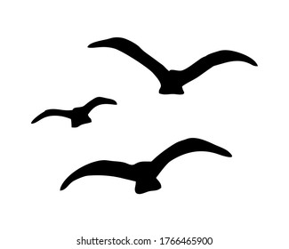 THREE SILHOUETTES OF SEA GULLS IN THE VECTOR