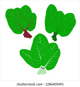 Three similar groups of leafy green vegetables on a white background, isolated.