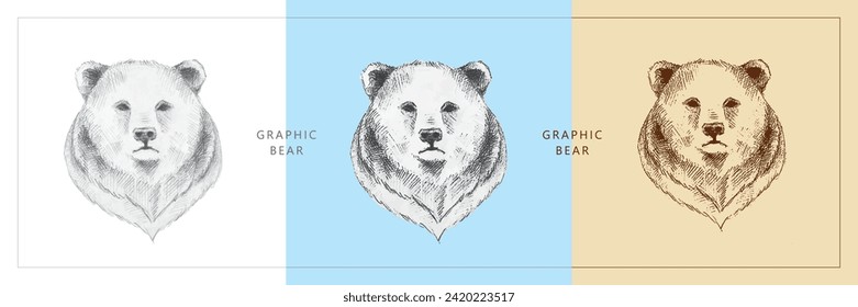 Three sketch drawings of a bear's head. Pencil drawing on paper and contour drawing in vintage style. Animals and wildlife. Hand-drawn.