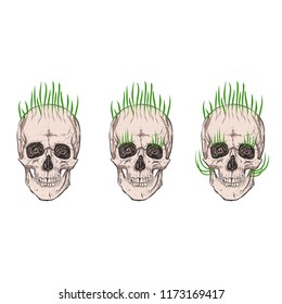 Three skulls. Growing grass.