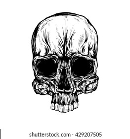 Three skulls on a white background. Vector Illustration on white background. Illustration  in comic style. Tattoo illustration 