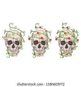 Three skulls and plants