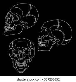 Three Skulls: profile, full face and three-quarters. Vector illustration.