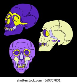 Three Skulls: profile, full face and three-quarters. Vector illustration.
