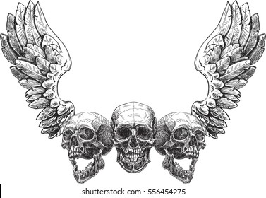 Three skulls and wing isolated on white