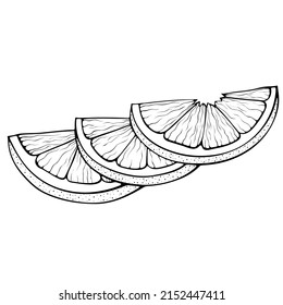 Three slices of lemon. Vector illustrations in hand drawn sketch doodle style. Line art botanical food isolated on white. Slice citrus fruit close up. Element for coloring book, design, print.