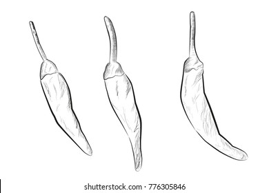 Three Small Chili