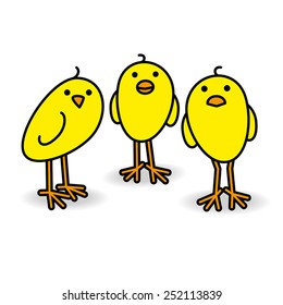 Three Small Cute Yellow Chicks Staring towards camera on White Background