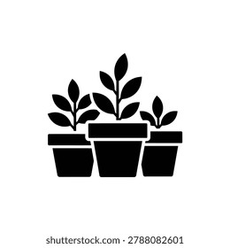 Three small indoor pots grouped together, plant collection icon