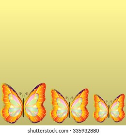 Three small isolated bright tropical butterflies, ranked in descending order.