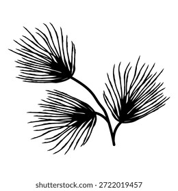 Três pequenos tufos de agulhas de pinheiro, minúsculos detalhes sempre verdes desenhados em tinta, perfeitos como sotaques sutis em composições e padrões de inverno.Ilustração vetorial