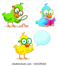 three smart birds learning and exploring