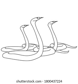 three snakes twisted and with protruding tongues, coloring page for studying zoology, dangerous reptiles vector outline illustration for design and creativity