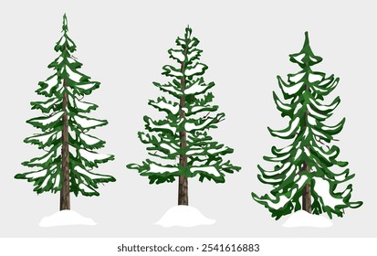 Three snow trees collection. Snow spruce trees