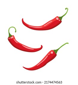 Three spice chili pepper vector colored illustration