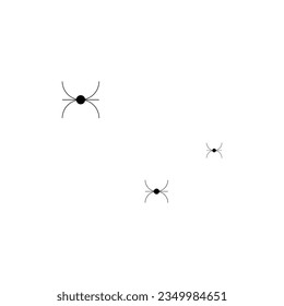 Three spiders on a white background