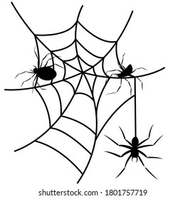 Three spiders weaving a web. Black silhouettes of insects. Vector illustration.
