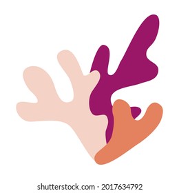 Three sprigs of corals of different colors, burgundy, orange and pink corals on a white background, logo, icon