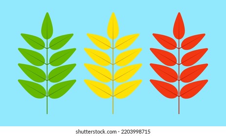 three sprigs of leaves of different colors