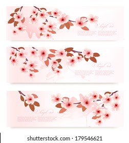 Tres carteles de primavera con ramas florecientes con flores rosas. Ilustración vectorial. 