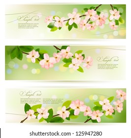 Three Spring Banners With Blossoming Tree Brunch With Spring Flowers. Vector Illustration.