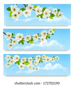 Tres banderas de primavera con un brunch de árbol floreciente con flores de primavera. Ilustración vectorial. 