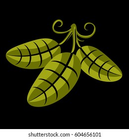 Three spring or summer leaves simple vector icon, nature and gardening theme illustration. Stylized tree green leaf with tendrils, botany and vegetarian design element.