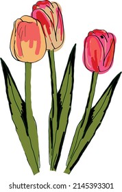 Three spring tulips. The vector file will come in handy for your designs.