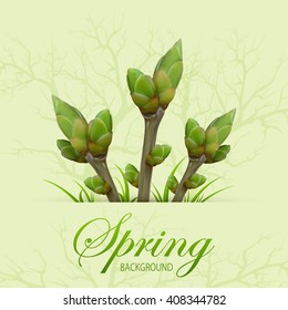 Three spring twigs with buds and grass on green grunge background, illustration.