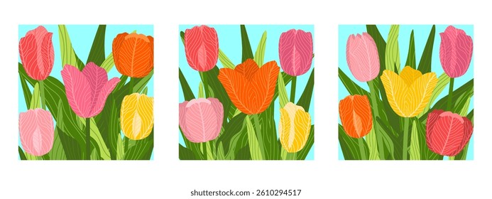 Three square botanical hand-drawn illustrations featuring various floral backgrounds with multiple tulips flowers and leaves. Ideal for banners, covers, greeting cards, invitations, posters, and other