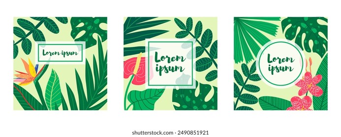 Three square botanical illustrations featuring various tropical leaves and flowers, each with a text placeholder. Suitable for social media posts, mobile apps, banner design, and web or internet ads.
