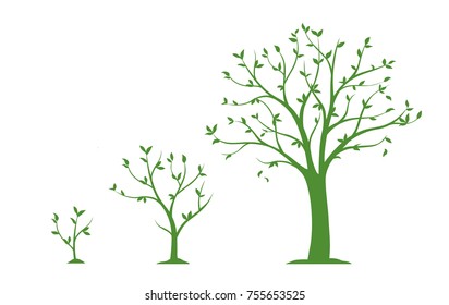 Three stages of growing tree - flat vector illustration