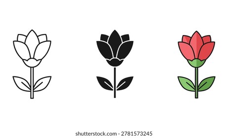 Three stages tulip development