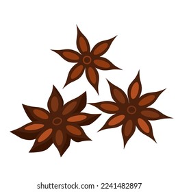 Three star anises.Vector color isolated illustration.