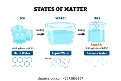 Three state of matter. Labeled solid, liquid, gas molecule atom, ice cubes, water and gas. Matter in different states. Different molecular arrangements. Vector illustration.