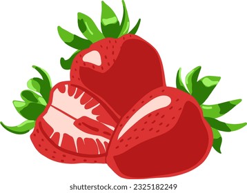 Three strawberries. Illustration of strawberries, one of them by half
