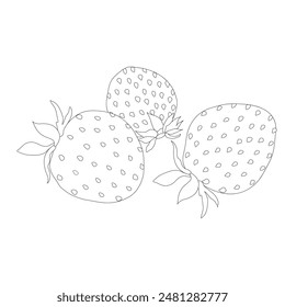 Three strawberries on white background. Black and white. Ripe fruit. Food vector illustration for coloring book. Worksheet.