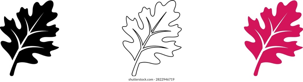 Three stylized autumn maple leaves in black white and pink vector design isolated on transparent background, Vector