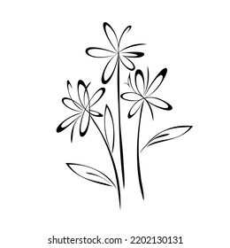 three stylized blooming flowers on stems with leaves. graphic decor