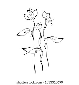 three stylized buds on stems with leaves in black lines on white background