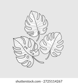 Três folhas de Monstera estilizadas Line Art