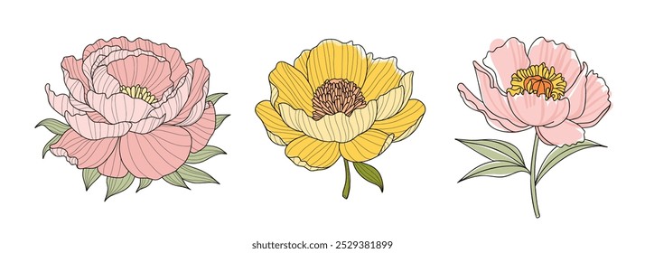 Three stylized peony flowers on a white background, soft pink with layered petals, vibrant yellow with a brown center, pale pink with a yellow orange center. Set of Design elements for decorating.