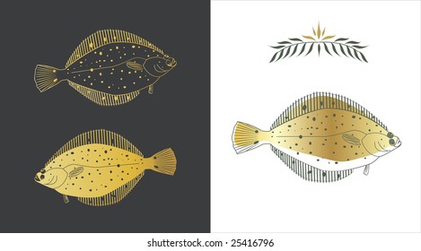 Three stylized sketches of a flatfish