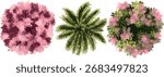 three stylized, top-down digital paintings of diverse plants, set against a black background. The assets include a pink flowering tree (likely cherry or plum blossom), a tropical palm or fern.