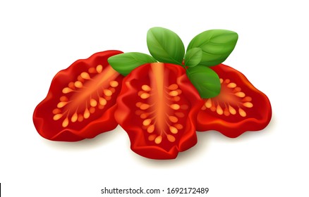 Three sun dried tomatoes lie with fresh basil leaves. Isolated on white background. Realistic vector illustration.