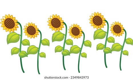 Three sunflower flowers with stems and leaves isolated on a white background