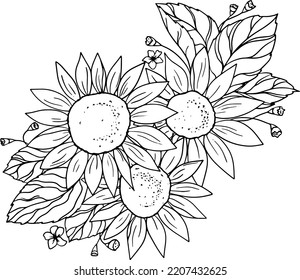 
three sunflowers with leaves and flowers black lines coloring book