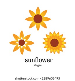 three sunflowers logo, slogan, vector illustration, color gradation.