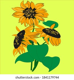 drei Sonnenblumen auf gelbem Hintergrund